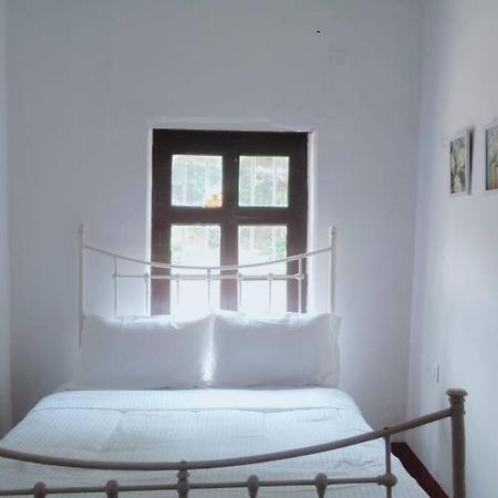 A Quaint Cottage With Rajah'S Seat View. Madikeri Εξωτερικό φωτογραφία