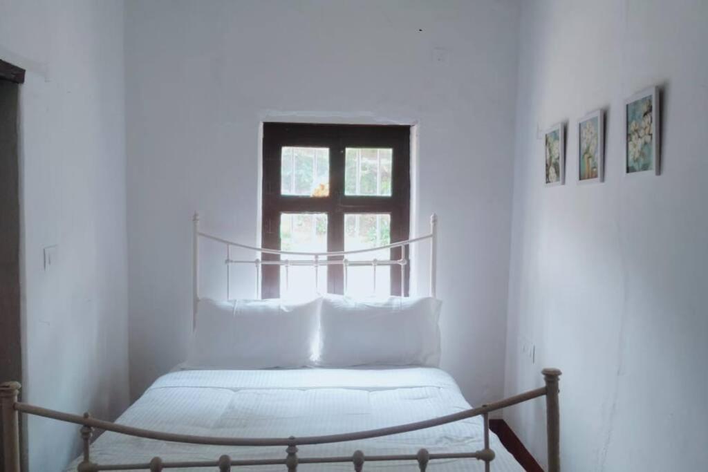 A Quaint Cottage With Rajah'S Seat View. Madikeri Εξωτερικό φωτογραφία