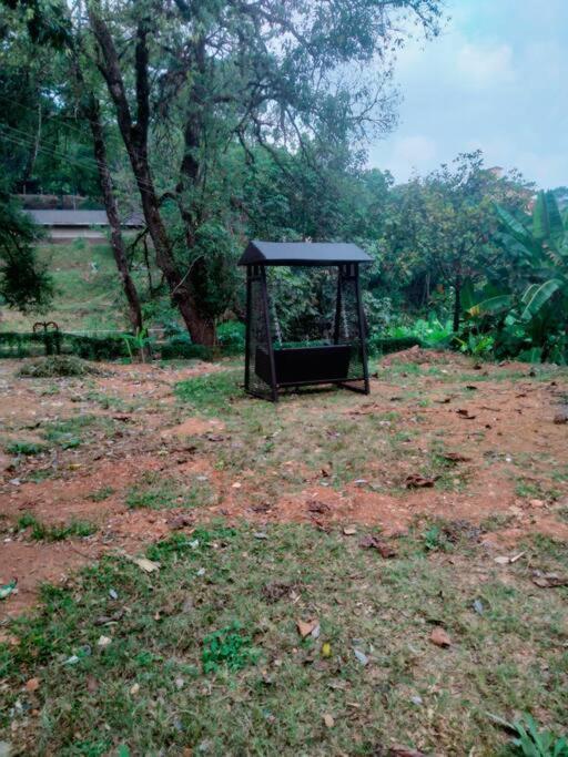 A Quaint Cottage With Rajah'S Seat View. Madikeri Εξωτερικό φωτογραφία